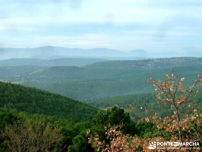 Pinares, Riscos y Atalayas; escapadas alrededor de madrid; excursion desde madrid